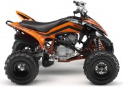 Yamaha YFM250R Yamaha YFM250R